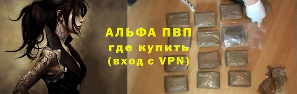 дурь Пестово