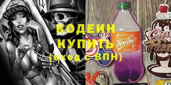 дурь Пестово